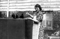 LILIAN  jackdaw